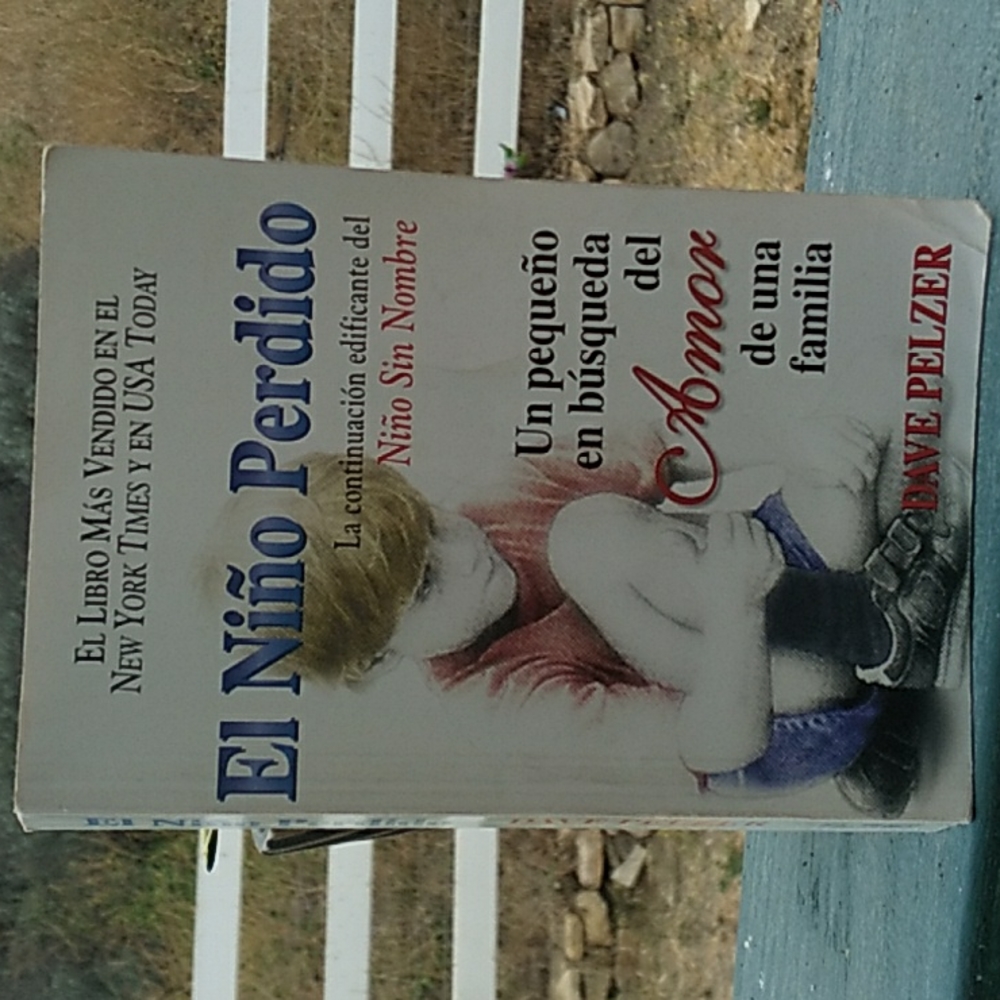 Book - El Niño Perdido